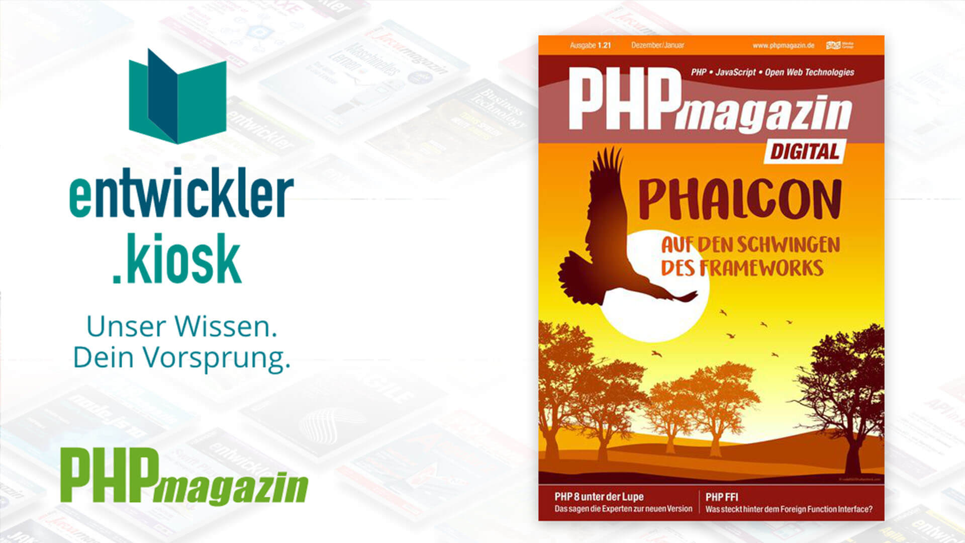 Article about Phalcon in a German magazine